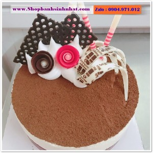Bánh Sinh Nhật Tiramisu - T78